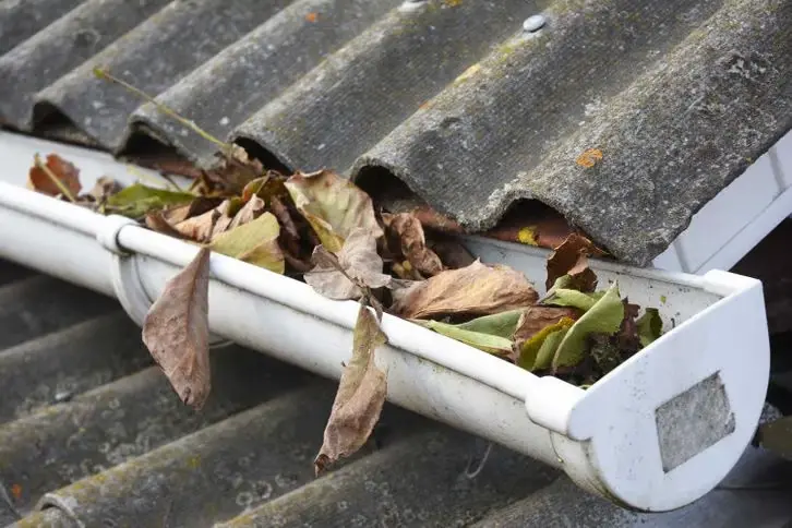 gutter-cleaning-img1